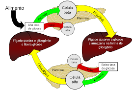 O consumo da bertalha, auxilia na manutenção da saúde do fígado. Contudo, para ser consumida com este propósito, se faz necessário que haja um acompanhamento médico.