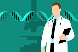 A bertalha pode ser utilizada para tratar ou ajudar no tratamento de problemas hepáticos (referentes  ao fígado). Pode ser utilizada também no pós parto, para que  possa combater  possíveis  hemorragias. Auxilia no tratamento da anemia e do câncer, porque combate os radicais livres. 